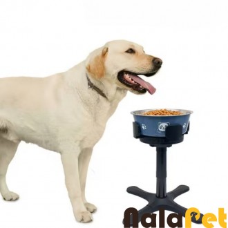 Adjustable Elevated Dog Bowl Stand with Non-Slip Base - 3 Height & Tilt Settings, Raised Stainless Steel Dish for Large Breed, Medium & Small Dogs, Cats