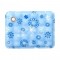 Blue with snow 